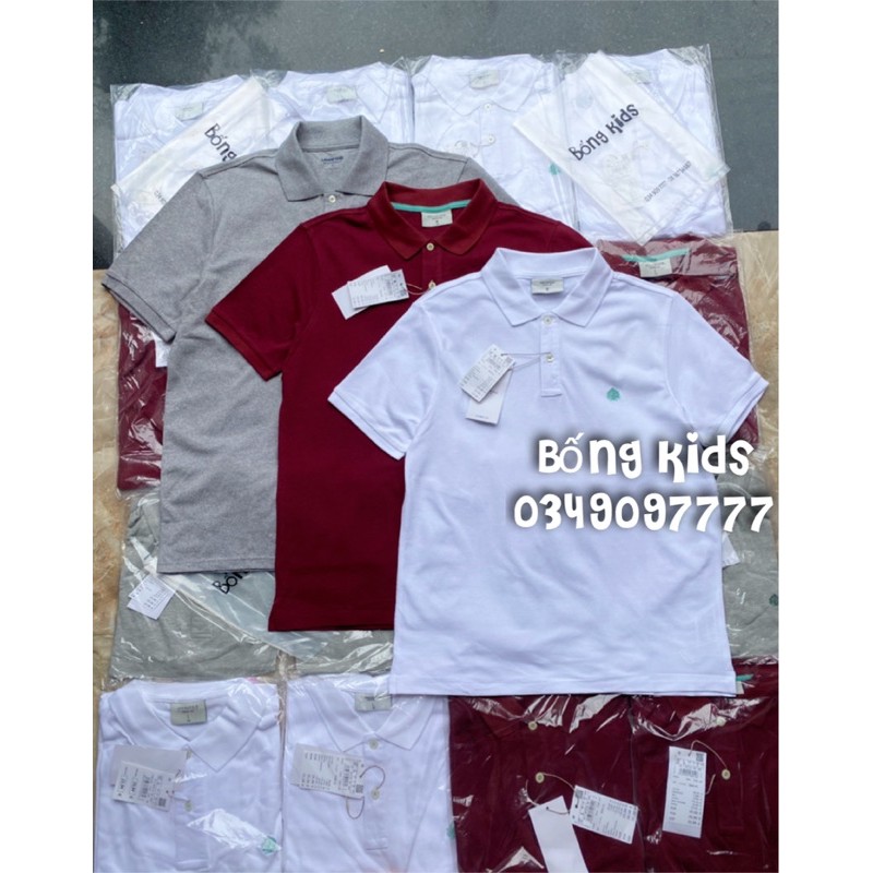 Áo Polo Nam Thoáng Khí SPRINGFIELD | BigBuy360 - bigbuy360.vn