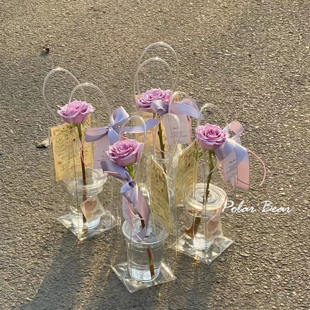 Túi trong suốt PVC winzige