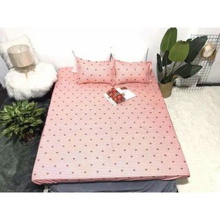 SET GA GỐI COTTON POLY CHO MÙA HÈ