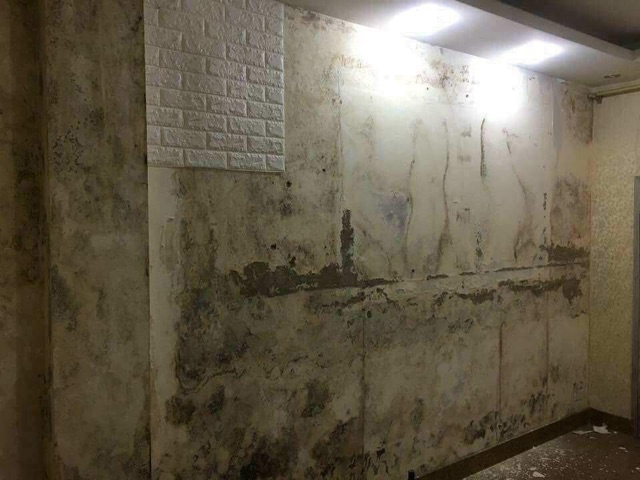 Giấy Dán Tường- Xốp dán tường 3D dày 4mm sang trọng chống ẩm mốc cách âm cách nhiệt | BigBuy360 - bigbuy360.vn