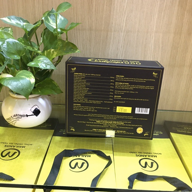 Đông Trùng Hạ Thảo Cordyceps Mailands 950 (Hộp 60 viên | BigBuy360 - bigbuy360.vn