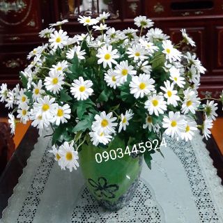 Cúc Hoạ Mi cao cấp giống thật