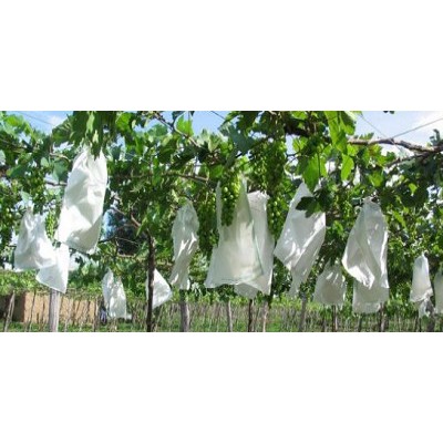 Vải mùng khổ rộng 3m4 chống côn trùng