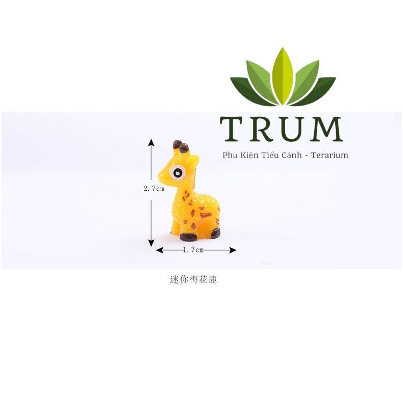 Hưu Cao Cổ Mini 1,2cm  - phụ kiện trang trí sen đá