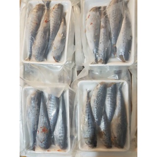 Cá thu 1 nắng ướp ớt BNS (500g)