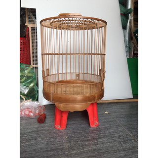Lồng choè mái
