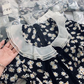 Váy cổ ren tiêu thư