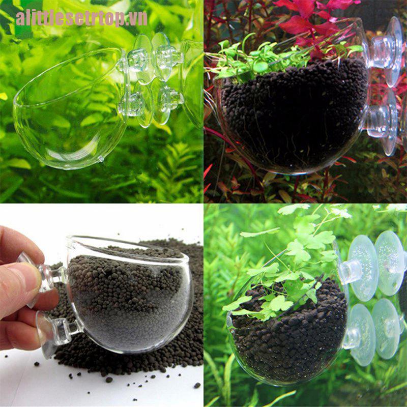 Chậu Trồng Cây Thủy Sinh Có Cốc Hút Cho Bể Cá