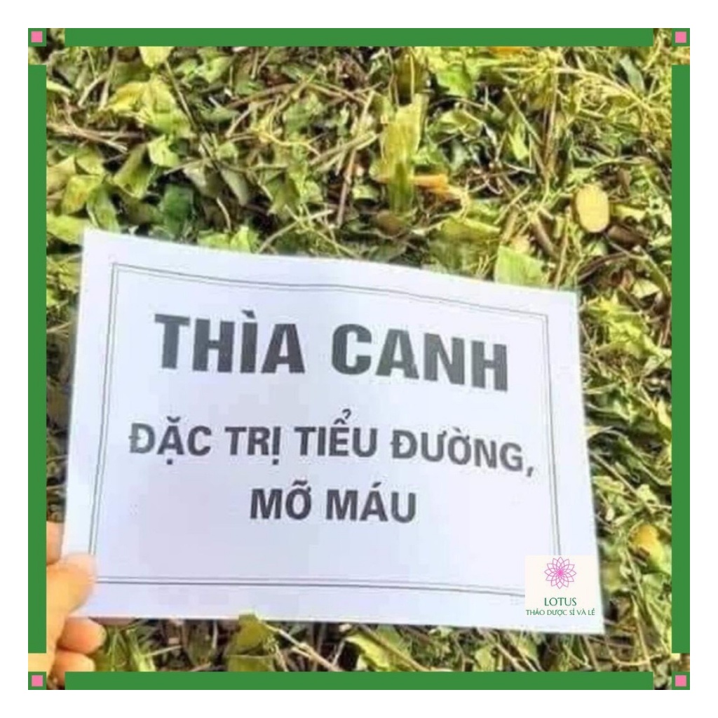 Dây Thìa Canh Loại 1 Hàng Mới Chất Lượng Hỗ Trợ Người Tiểu Đường Túi 1Kg | BigBuy360 - bigbuy360.vn
