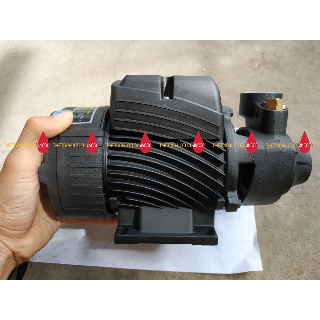 Bơm phun sương công suất cao tưới lan cây cảnh vườn ra khỏe chạy được 50 hoặc 60 béc phun tặng kèm lọc - MHL
