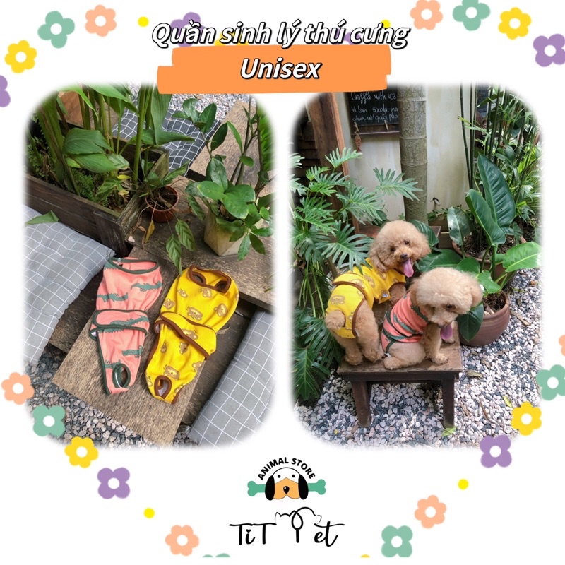 Quần sinh lý thú cưng unisex