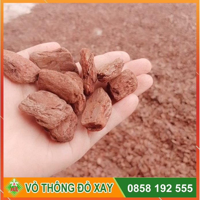 Vỏ Thông Đỏ Cao Cấp Đã Được Xử Lý Khử Nấm Khuẩn 1Kg