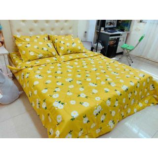 Trọn Bộ chăn phao Boss Decor 5 món poly thương hiệu chăn bông mẫu mới nhất