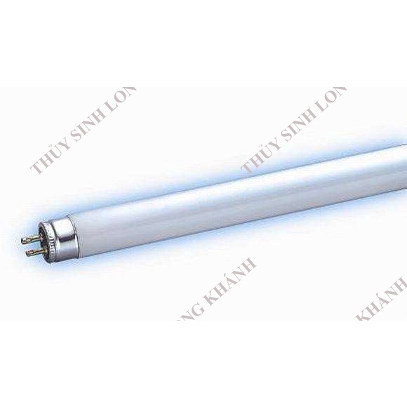 BÓNG ĐÈN ODYSSEA T5H0  10000K CHO HỒ THỦY SINH - Phụ Kiện Thủy Sinh GIÁ RẺ AQUAGOLD