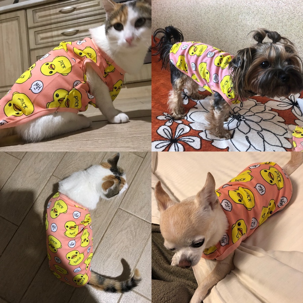 Áo thun in hình vịt vàng hoạt hình dễ thương cho thú cưng