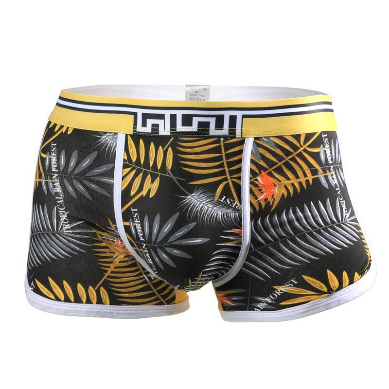 Quần Lót Boxer 3D Bằng Cotton Mỏng Thoáng Khí Thời Trang Mùa Hè Cho Nam C544