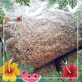 Green Garden -- Cùi bắp lót chuồng bò sát và các loại thú cưng khác ! o.Ô >< .
