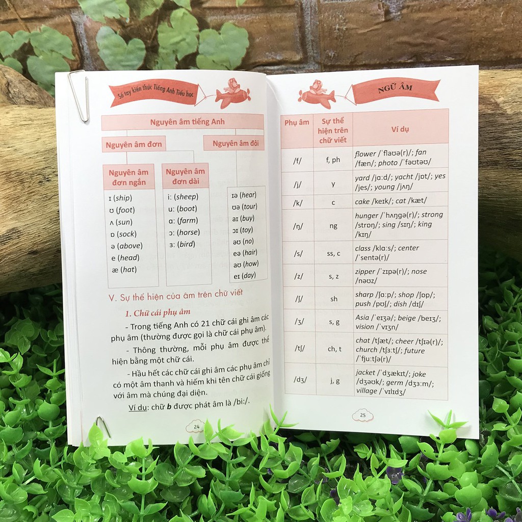 Sách - Sổ Tay Kiến Thức Tiếng Anh Tiểu Học | BigBuy360 - bigbuy360.vn