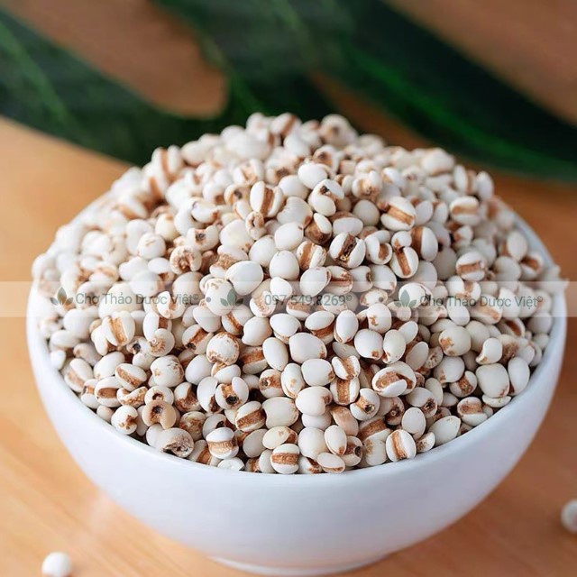Y Dĩ Nếp Hạt To 100g