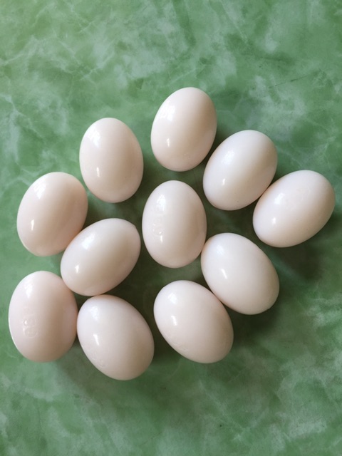 Trứng giả đặc ruột