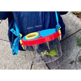 Hộp quan sát côn trùng