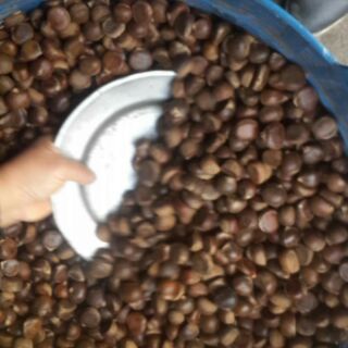 1kg dẻ tươi trùng khánh