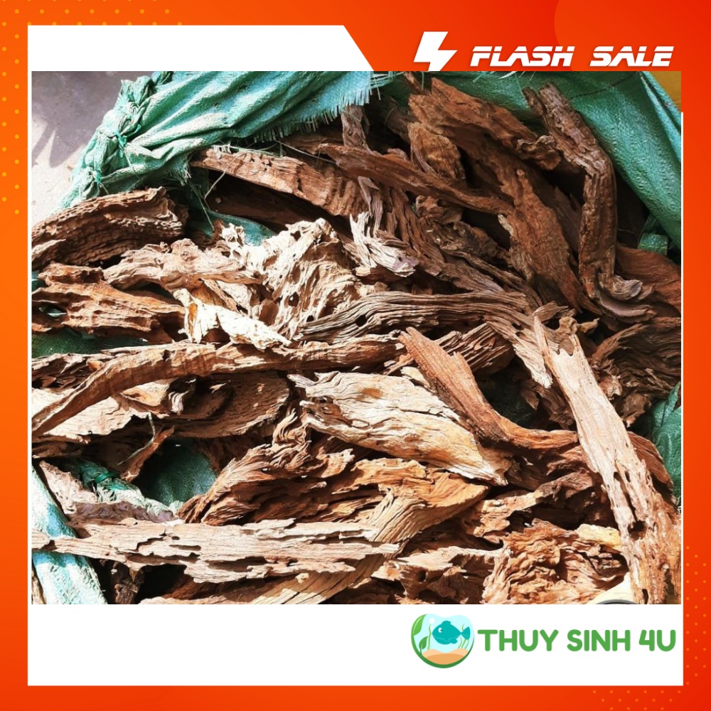 1KG lũa san đá nhỏ, Setup bể thủy sinh siêu đẹp
