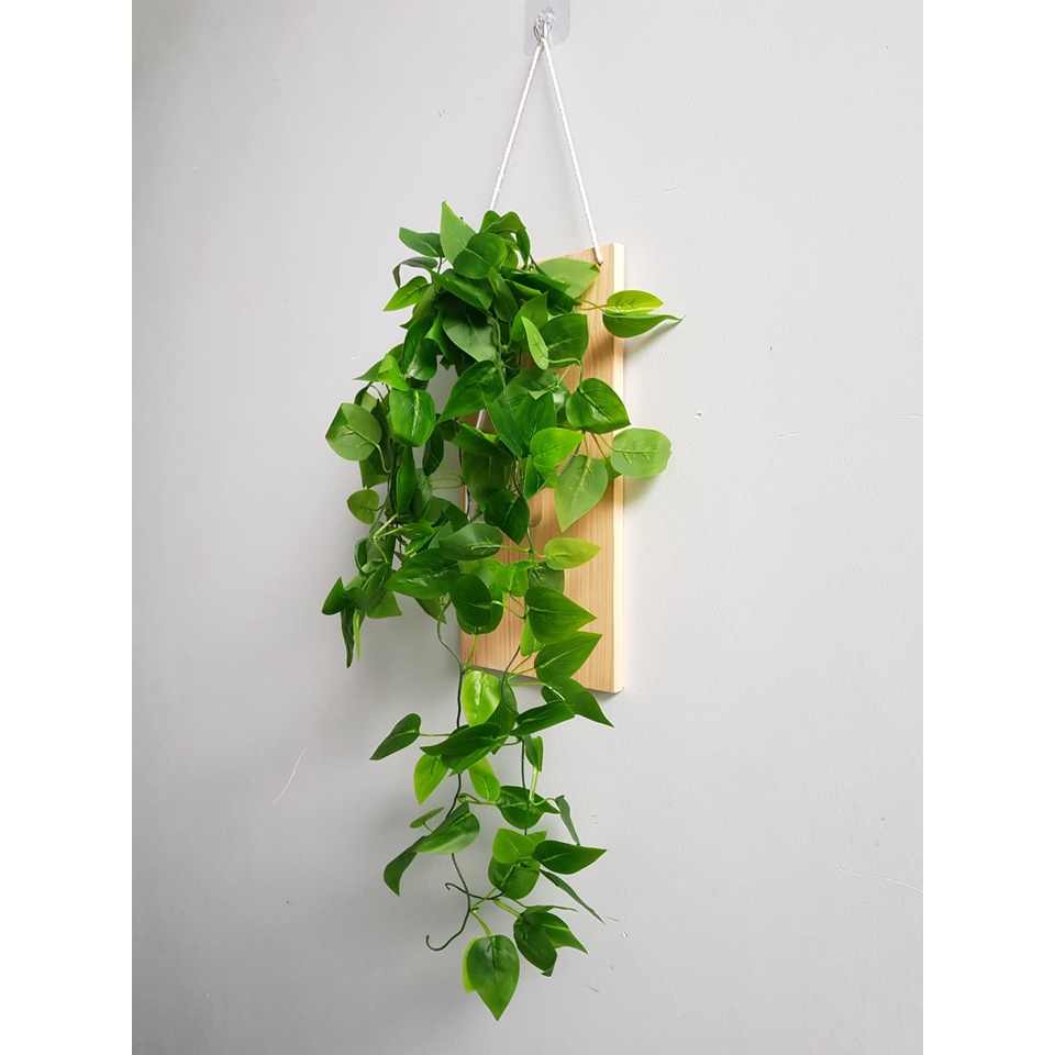 Khung Gỗ Treo Tường 15x30cm có khoan lỗ để treo Bình Thuỷ Tinh Cắm Hoa, Cây Thuỷ Sinh - Kệ Gỗ Cắm Hoa Mẫu Mới