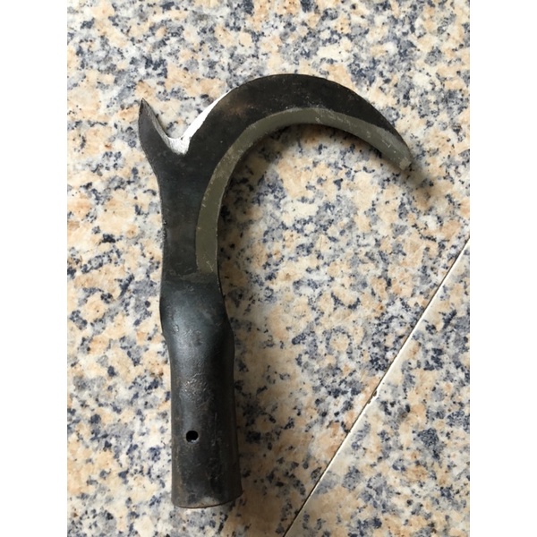 Cu liêm đực dừa
