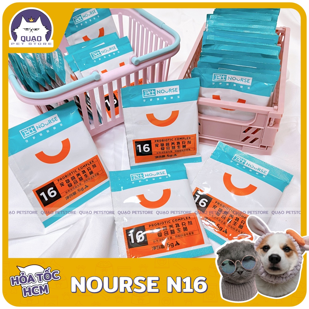 Men vi sinh chó mèo, Men tiêu hóa Nourse N16 điều trị tiêu chảy, hỗ trợ tiêu hóa cho chó mèo