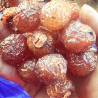 Combo bồ hòn tách hạt 1kg