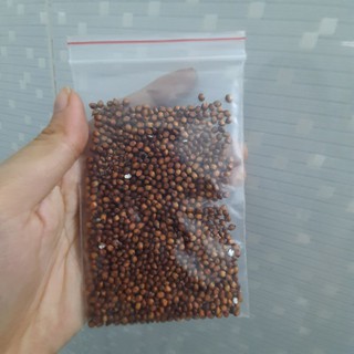 Hạt bobo đỏ cho hamster 100gr