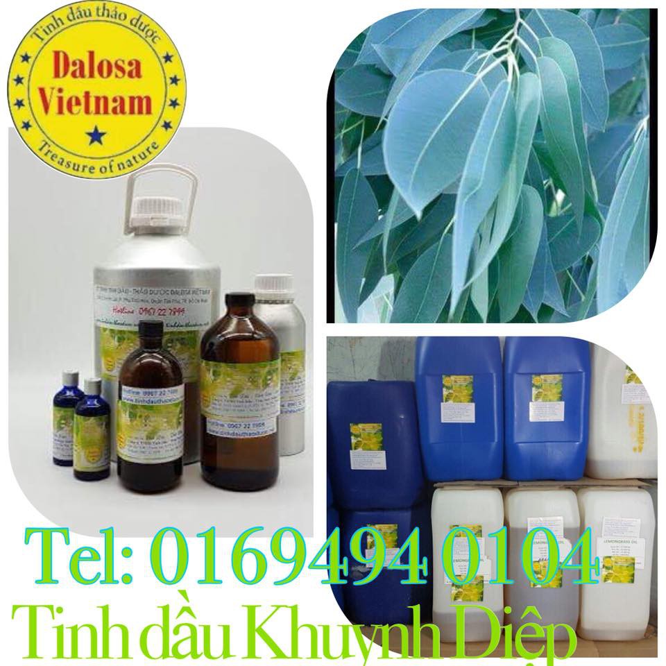 Tinh dầu Khuynh Diệp giá sỉ- 01694 940 104