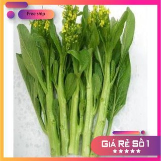 Hạt giống cải ngồng