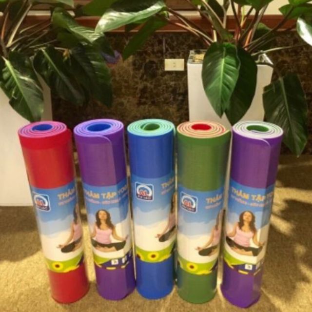 Thảm Yoga Âu Lạc Cao Cấp Đủ 4 Màu Kèm Túi - Kích Thước 65cm x 175cm x 6cm