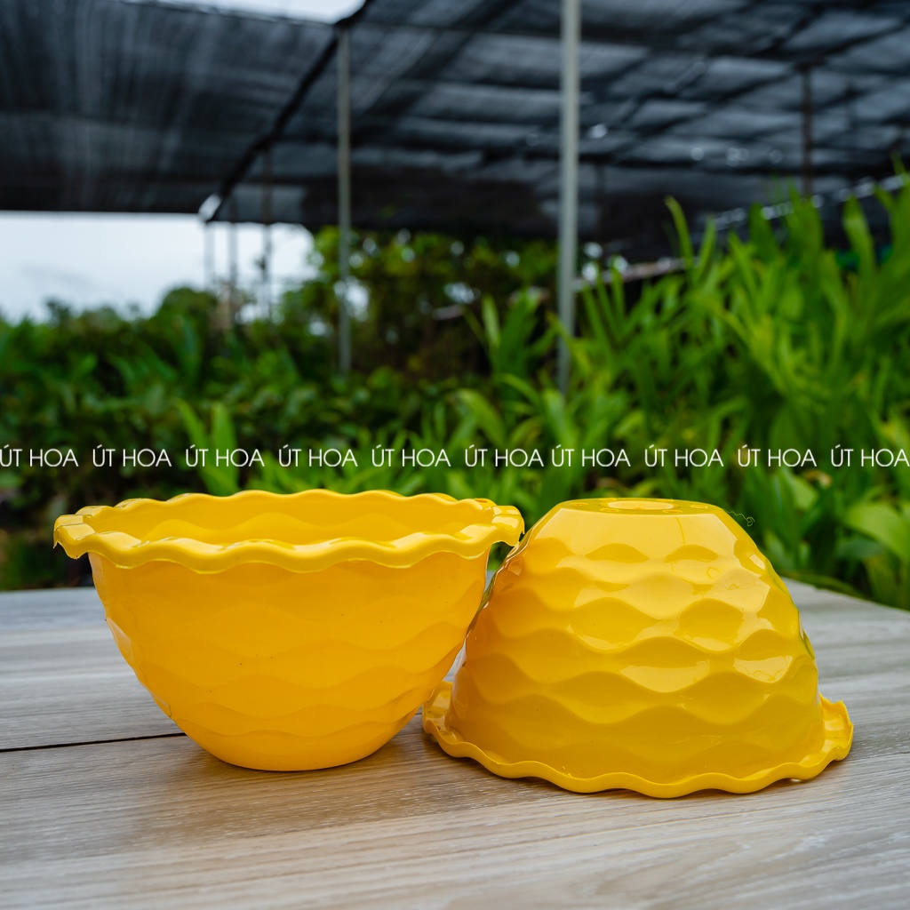 Combo 5 chậu mắt lưới có dây treo siêu đẹp