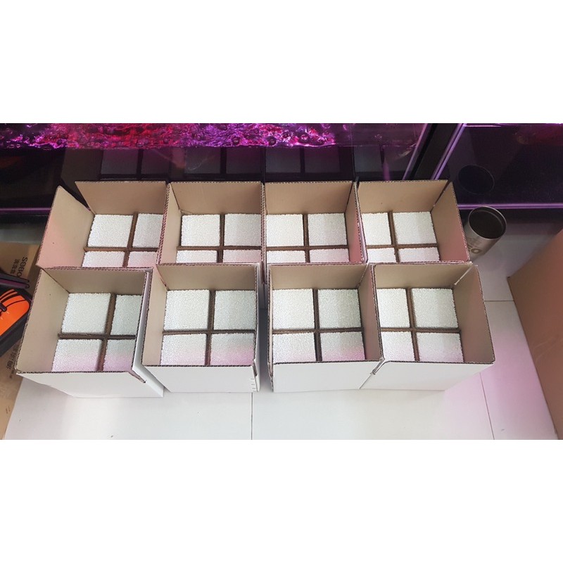 Sứ Vuông Ceramic hộp 12 viên