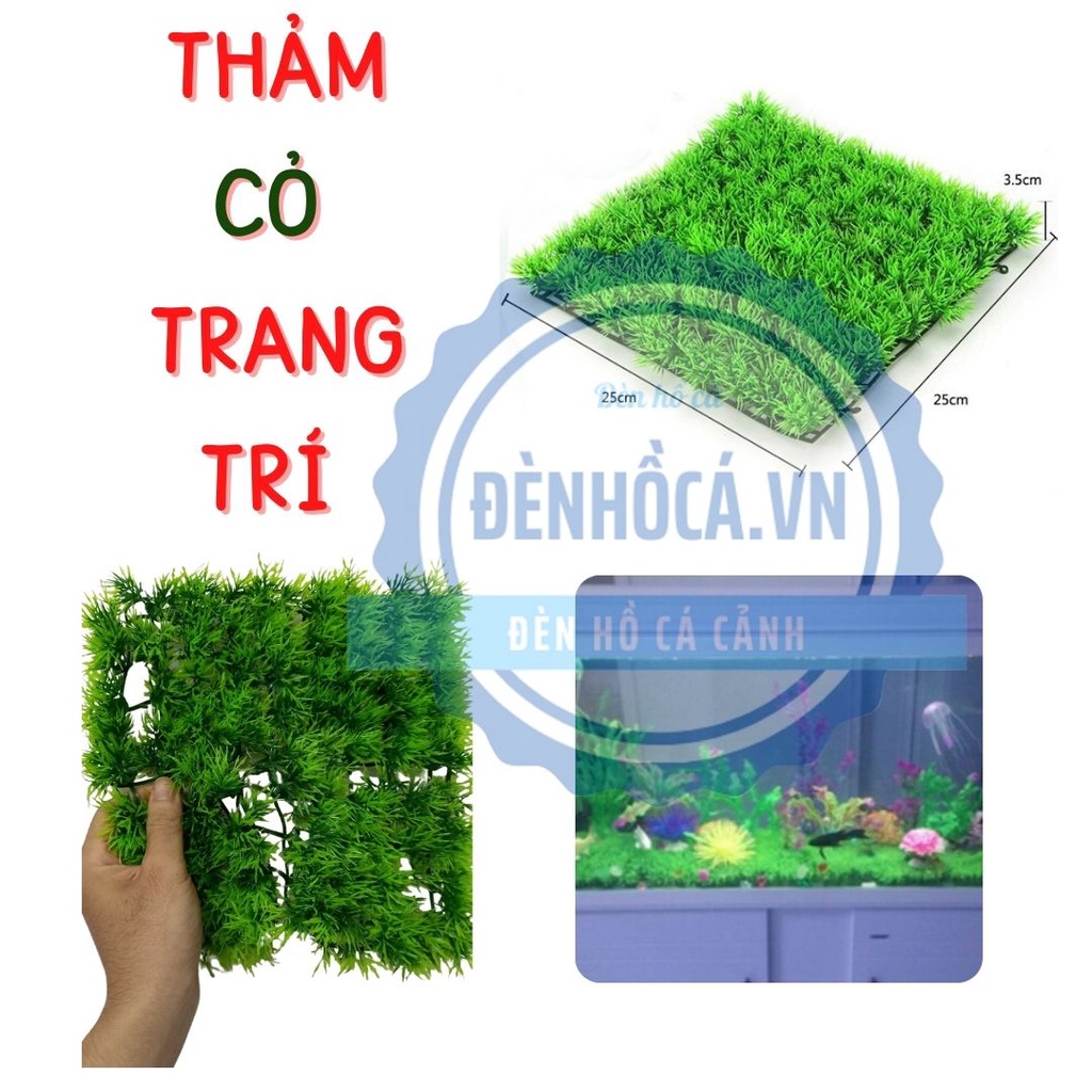 Thảm cỏ trang trí hồ cá đẹp rực rỡ ảo diệu tuyệt vời