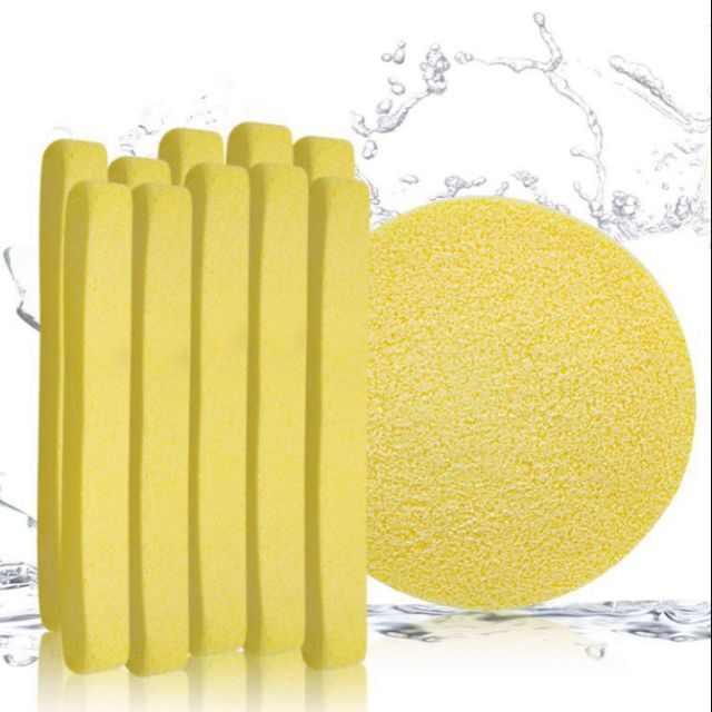 Bông bọt biển 12 chiếc