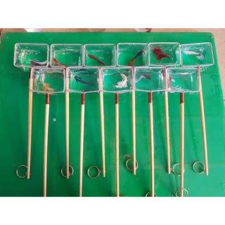 Vợt nước vớt cá Show cá  Betta - Guppy