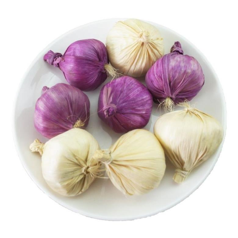 Củ hành tỏi giả trang trí phòng ăn, quán cafe, quán ăn