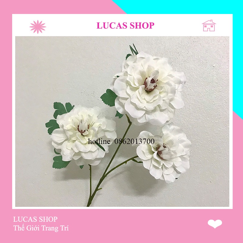 Hoa Giả- Hoa Cúc Thược Dược 65cm Cành 3 Bông Cao Cấp, Decor Nhà Cửa, Studio...