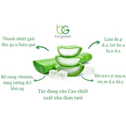 Bột nha đam, bột chiết xuất từ nha đam, lô hội tươi nguyên chất 100% đẹp da, giải nhiệt 50g,100g