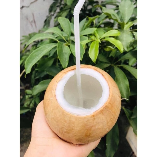 DỪA XiÊm trọc gọt sẵn Bến Tre ngon ngọt Lắm