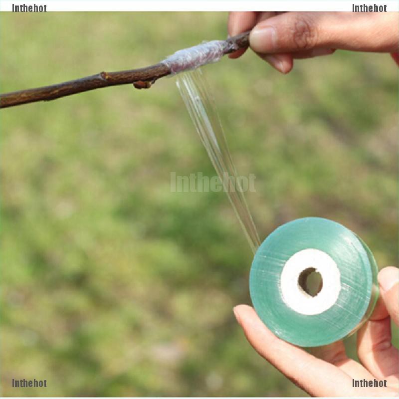 Cuộn Băng Keo Dán Cây Trồng 2cmx100m