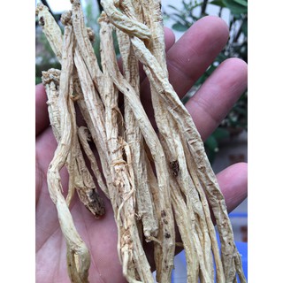 Đẳng Sâm Tây Bắc gói 100g (Loại khô ngon đặc biệt)
