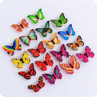 Đèn ngủ bướm phát sáng 3D