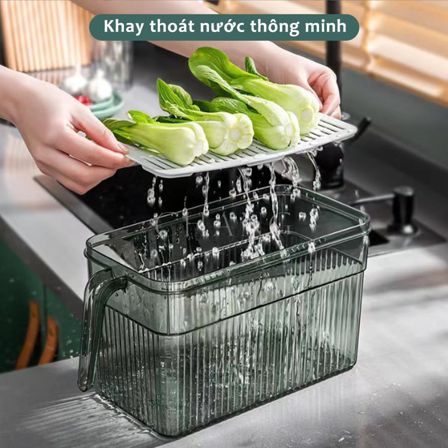 Hộp Đựng Thực Phẩm Tủ Lạnh Tách Nước Dung Tích 5L Có Tay Cầm Tiện Lợi, Đảm Bảo Vệ Sinh An Toàn Cho Sức Khoẻ DDGDTM.