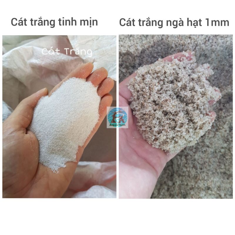 Cát trắng cho hồ thuỷ sinh - 500g