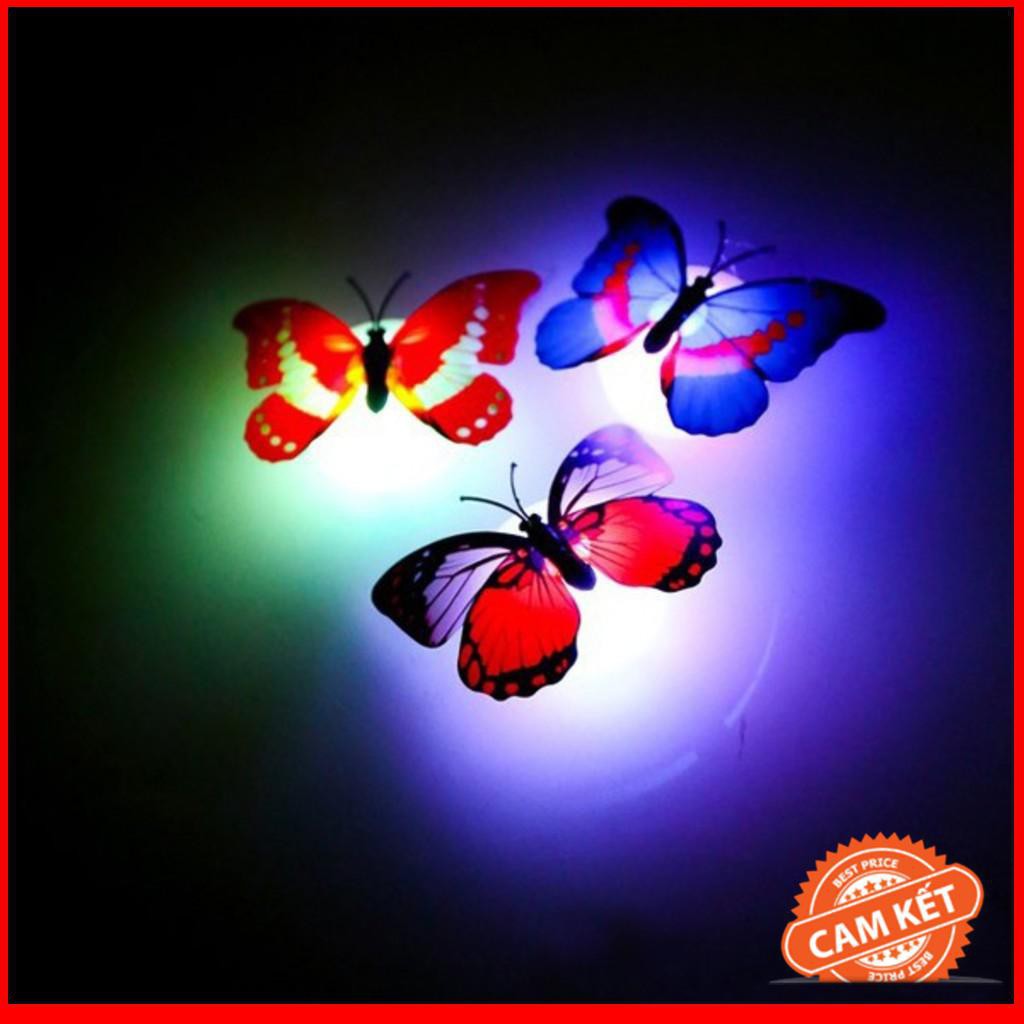 Combo 3 Đèn Led Con Bướm xinh xắn dán tường - thay đổi màu sắc bếp, hành lang, phòng tắm, phòng ngủ, phòng khách…